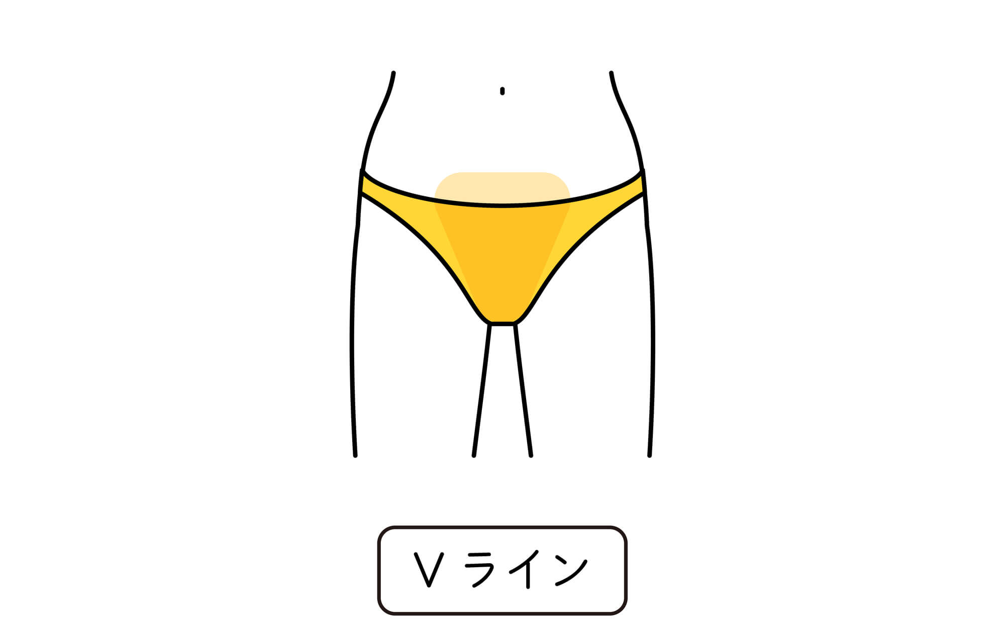 Vラインの位置を示すイラスト