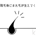 医療脱毛後また毛が生えてくる原因と対処法