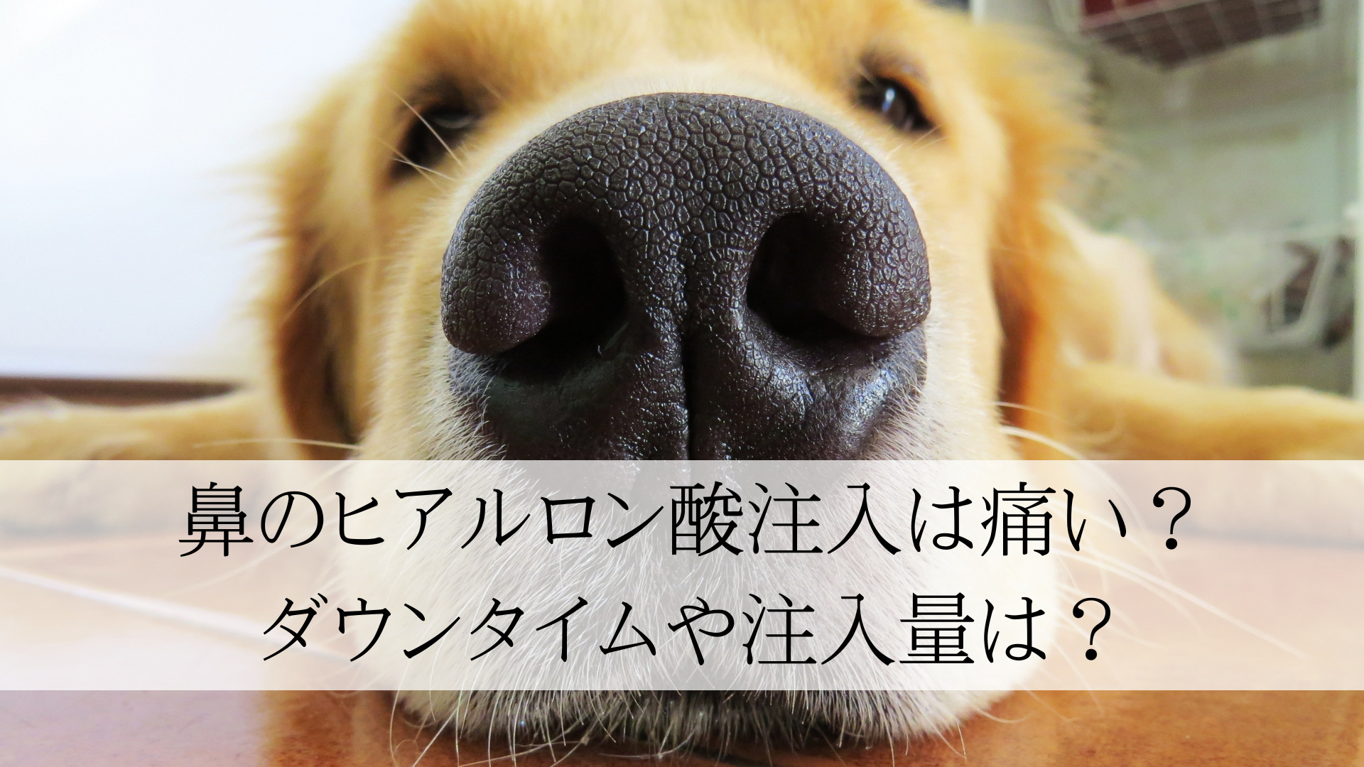 鼻のヒアルロン酸注入は痛い？ダウンタイムや注入量は？