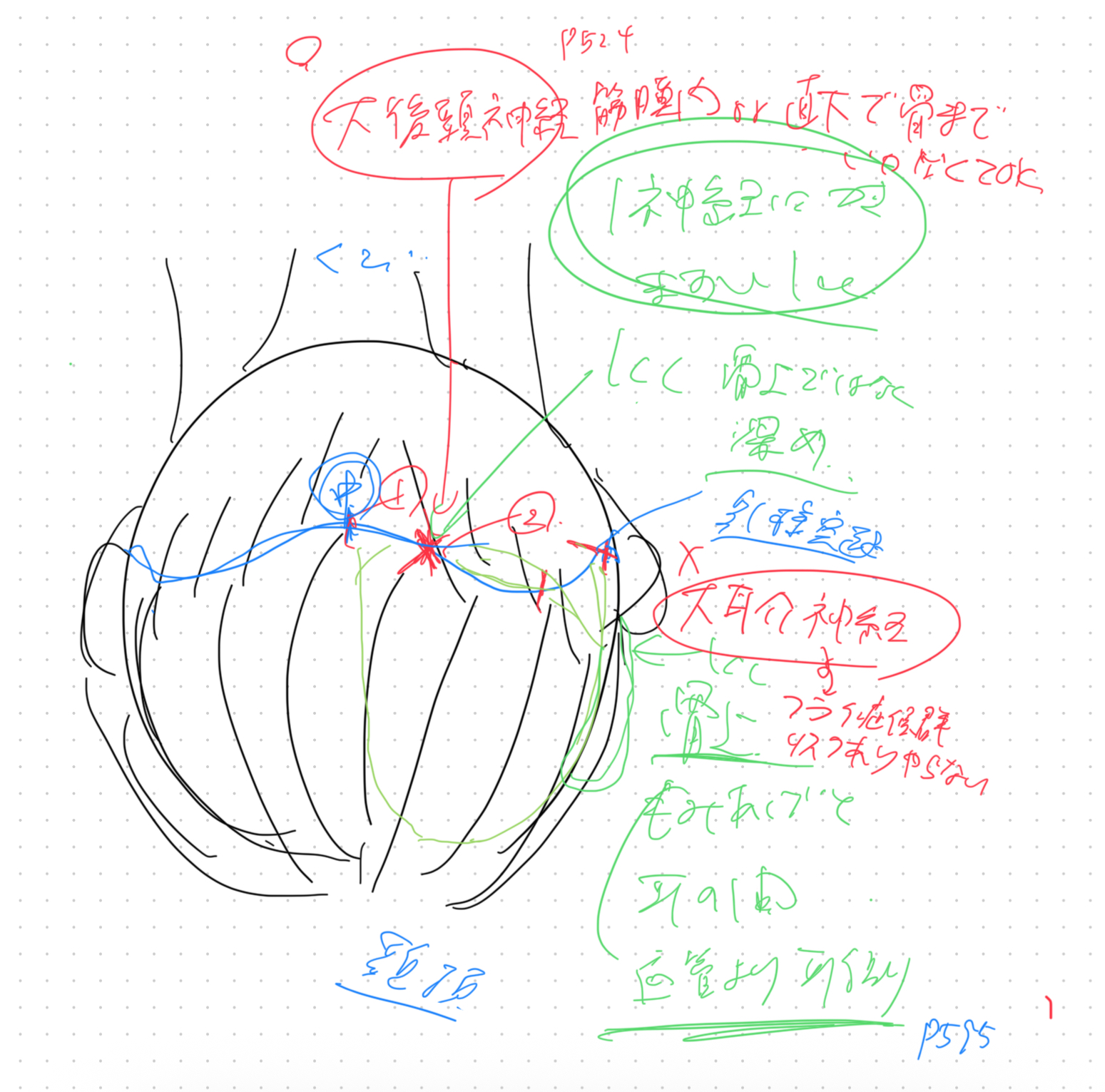 頭皮ボトックスブロック麻酔