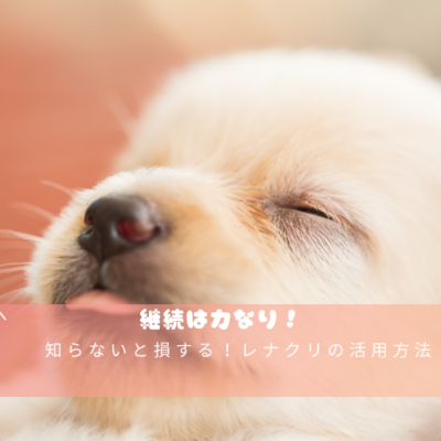 知らないと損する！レナクリの活用方法