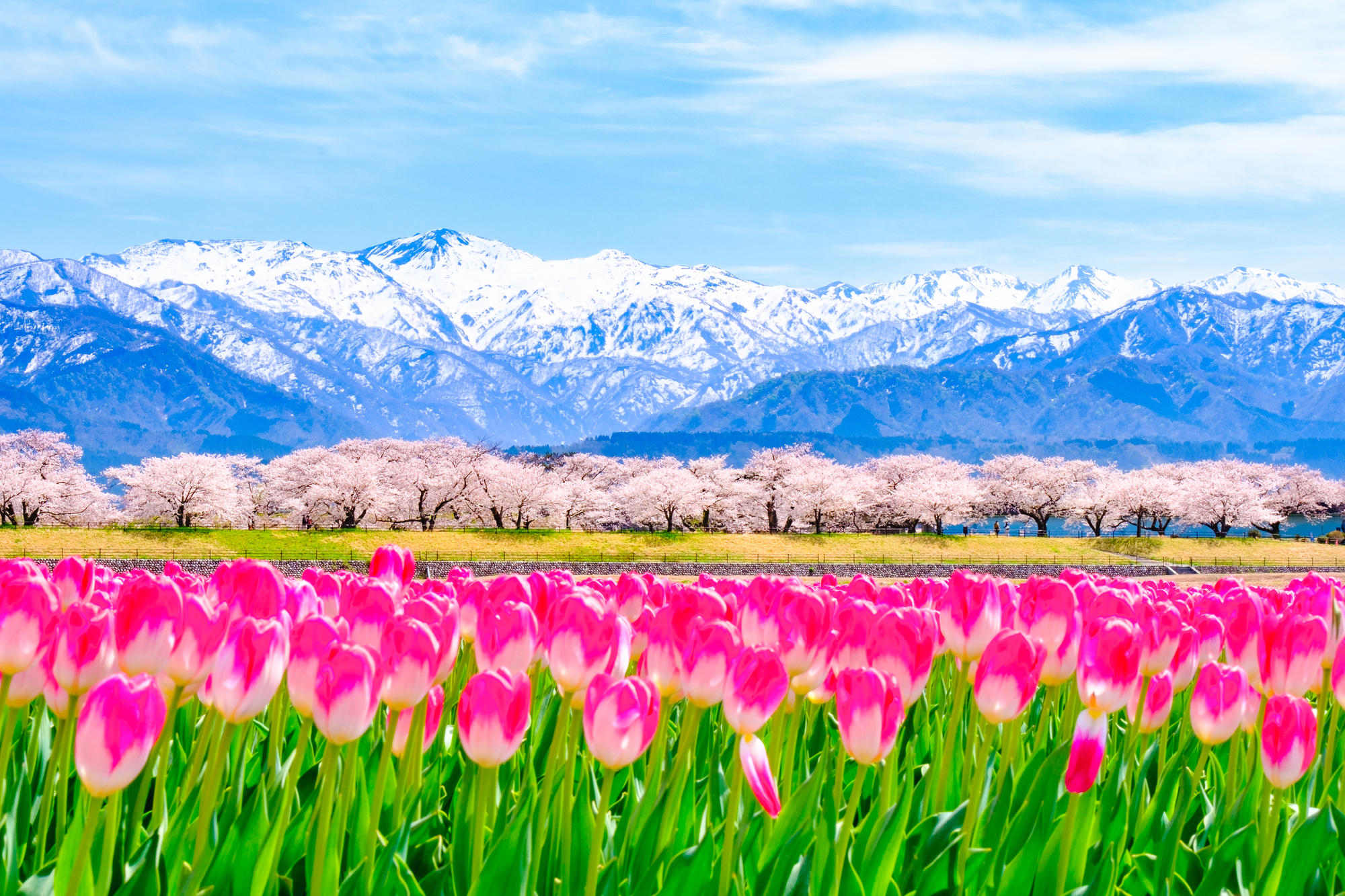 医療脱毛 82 医療脱毛富山