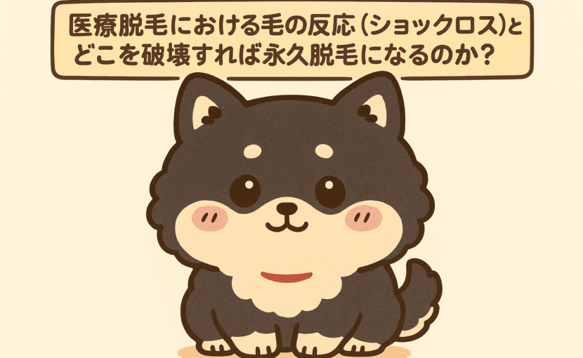 医療脱毛とショックロス