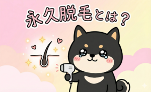 医療脱毛で知っておくべき皮膚の構造 7 永久脱毛とは