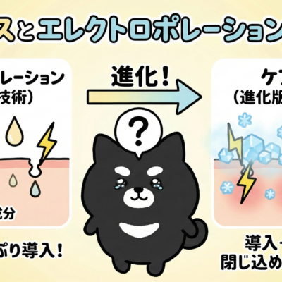 ケアシスとエレクトロポレーションとイオン導入の違い 31 ケアシスとエレクトロポレーションとイオン導入の違い