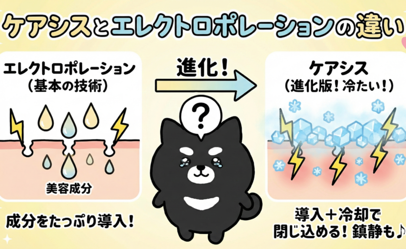 ケアシスとエレクトロポレーションとイオン導入の違い