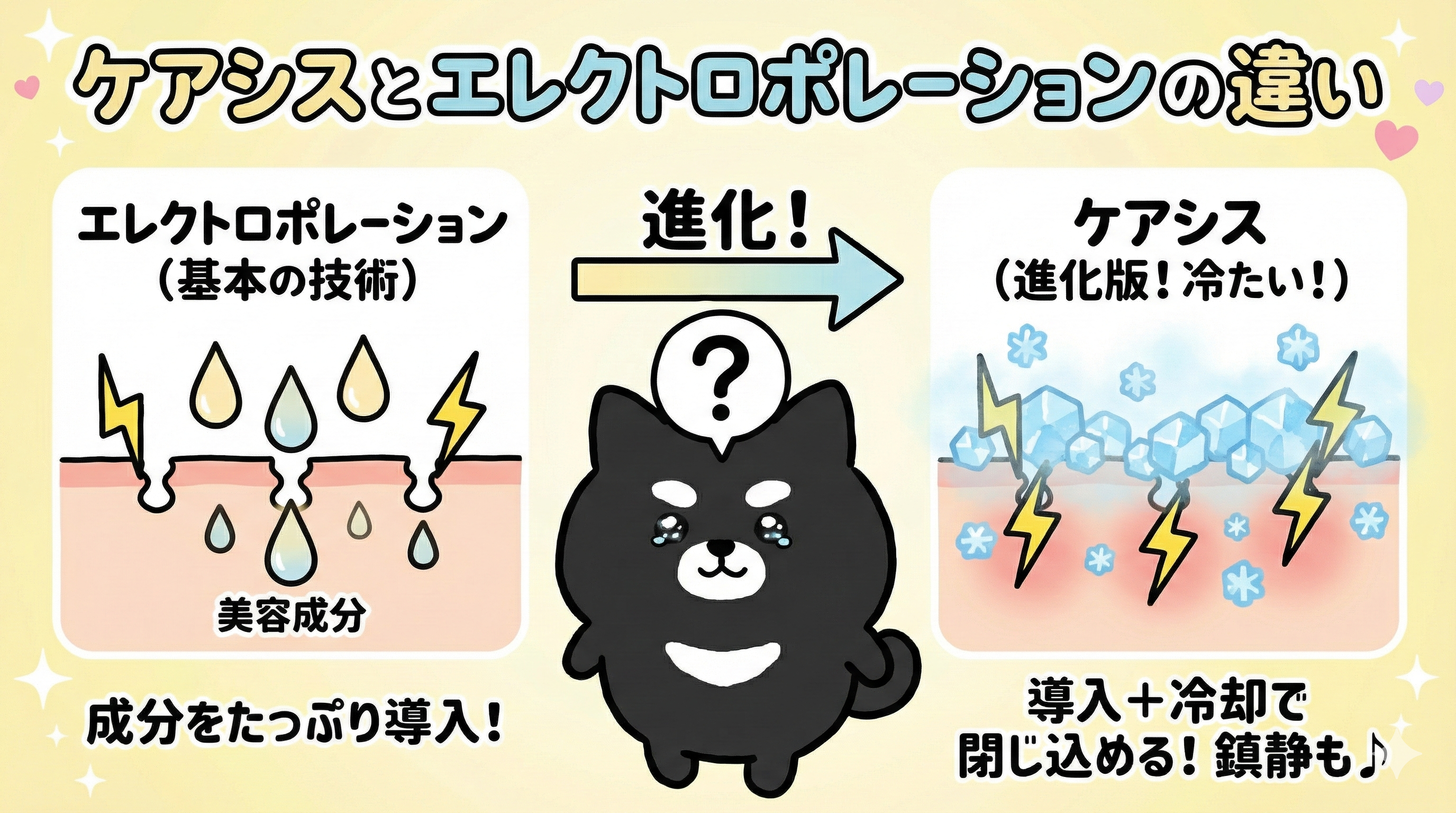 ケアシスとエレクトロポレーションとイオン導入の違い