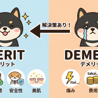 メリットデメリット