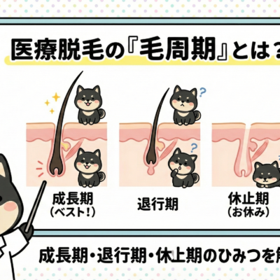 医療脱毛の「毛周期」とは? 36 医療脱毛の「毛周期」とは?