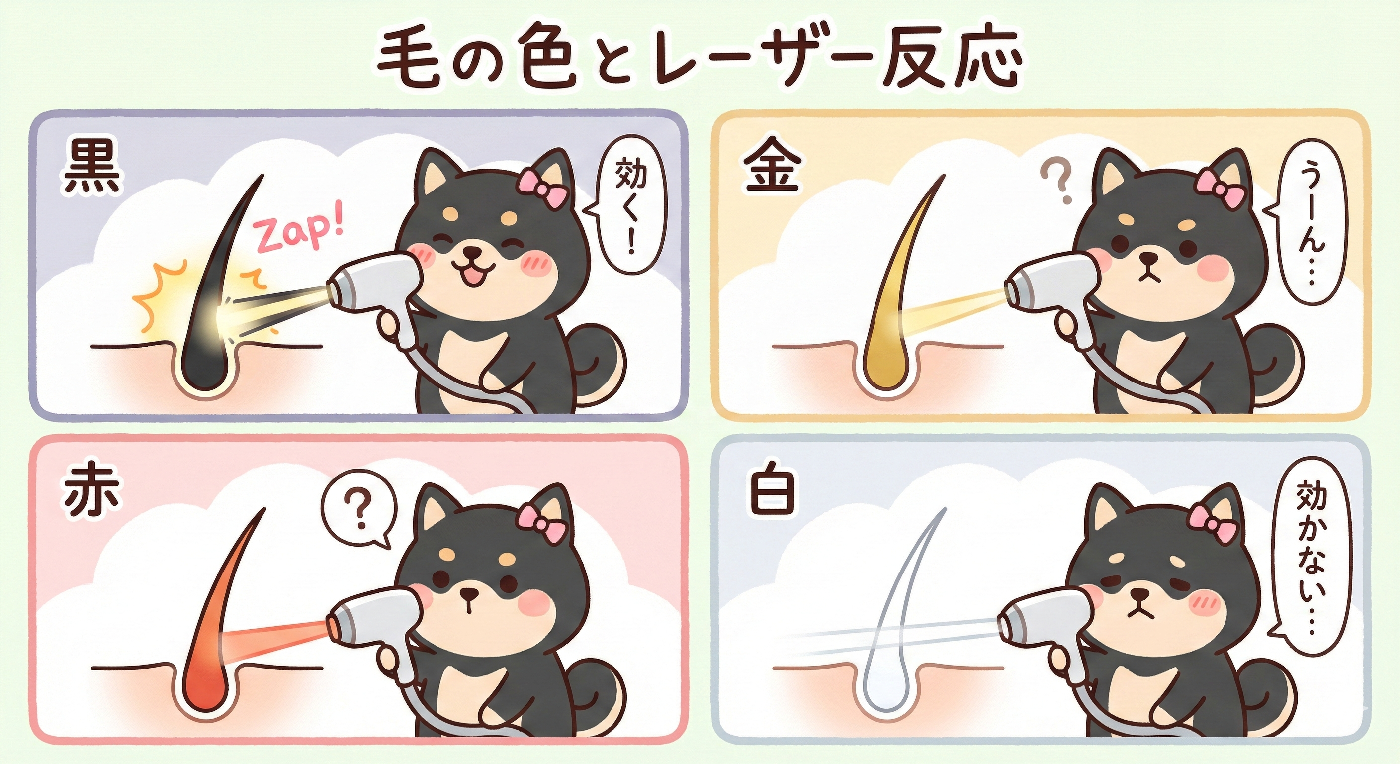 医療脱毛と毛質(毛の色・毛の太さ)の関係 6 「毛の色」とレーザー反応(黒・金・赤・白)