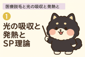 顔+VIO+全身脱毛ならレナトゥスクリニック 13 医療脱毛と光の吸収・発熱・SP理論とは?