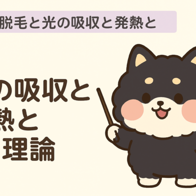 医療脱毛と光の吸収・発熱・SP理論とは? 18 医療脱毛SP理論