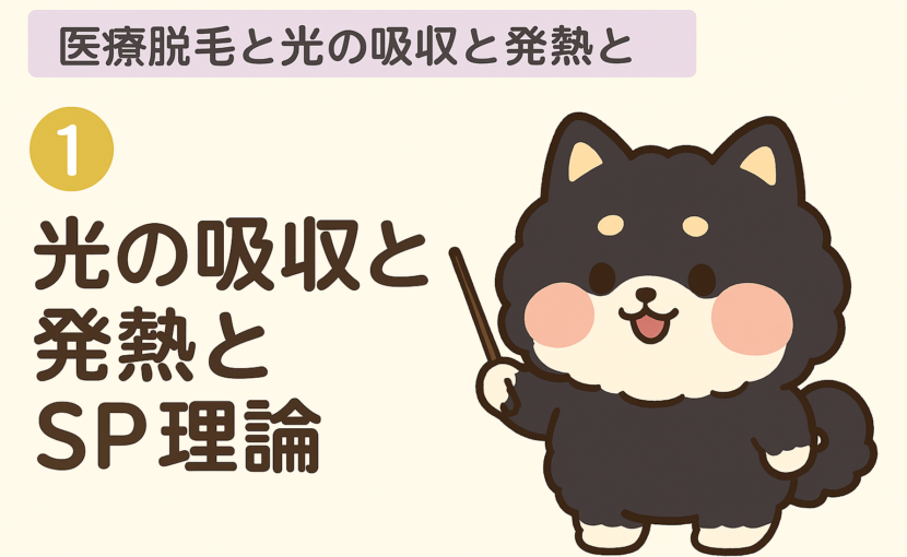 医療脱毛SP理論