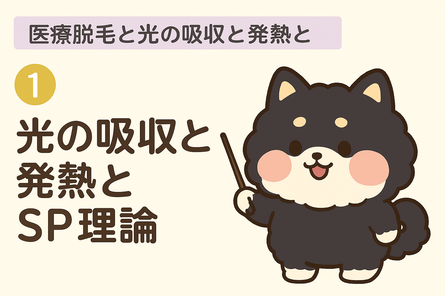 医療脱毛SP理論