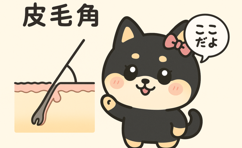 c02682d4946d9c427f733b3e65b69e1e