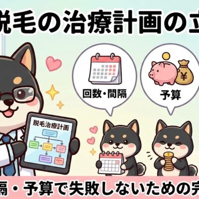 医療脱毛の治療計画の立て方 8 医療脱毛の治療計画の立て方
