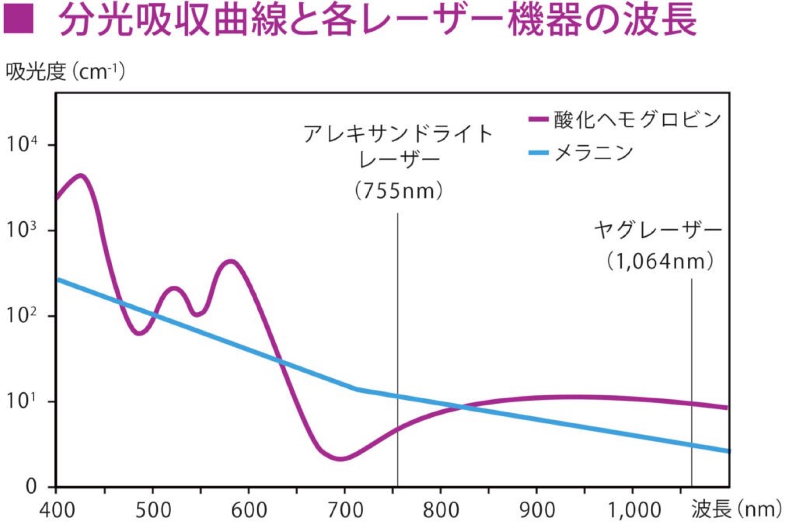 分光吸収曲線とレーザー波長（アレキサンドライト755nm・ヤグ1064nm）の関係図